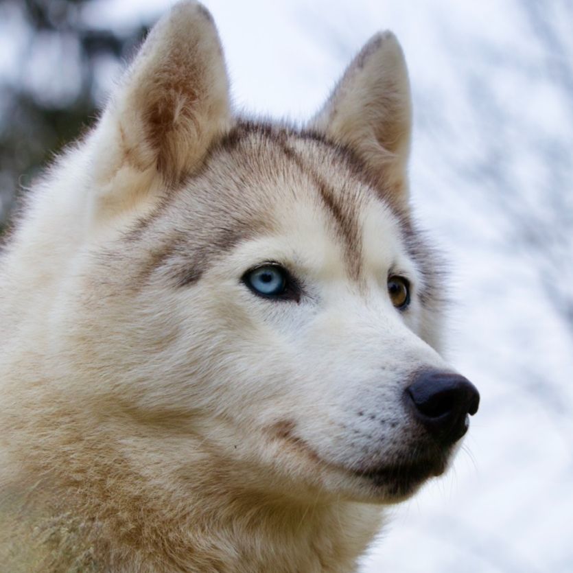 Rendez-vous avec l'Homme sacré
